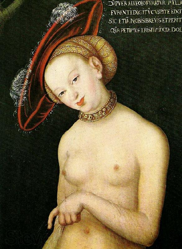 CRANACH, Lucas the Younger woman with a hat Germany oil painting art